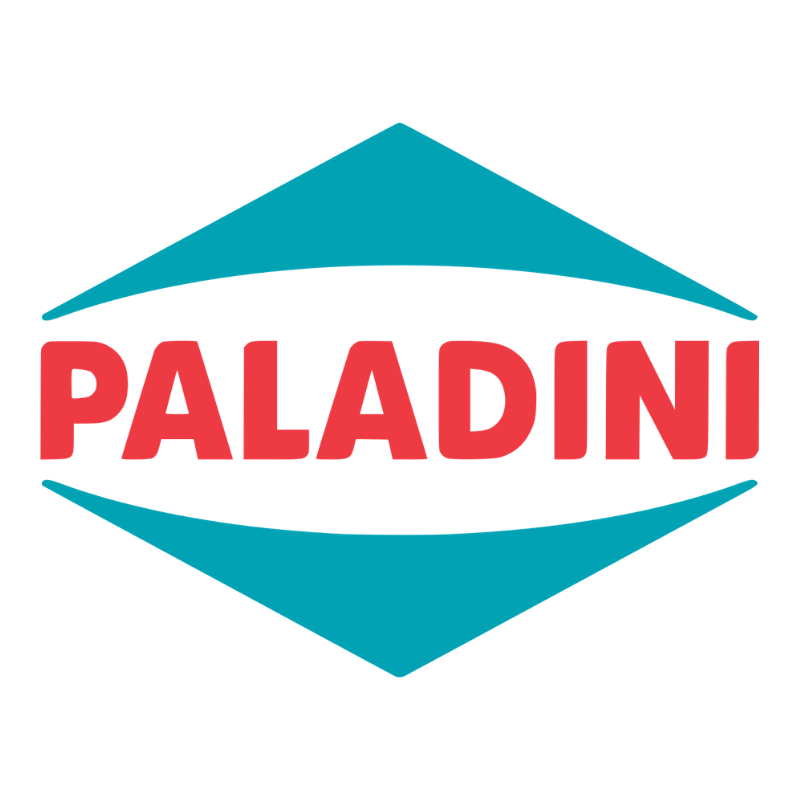 Paladini